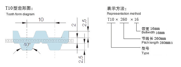 T10齒形圖